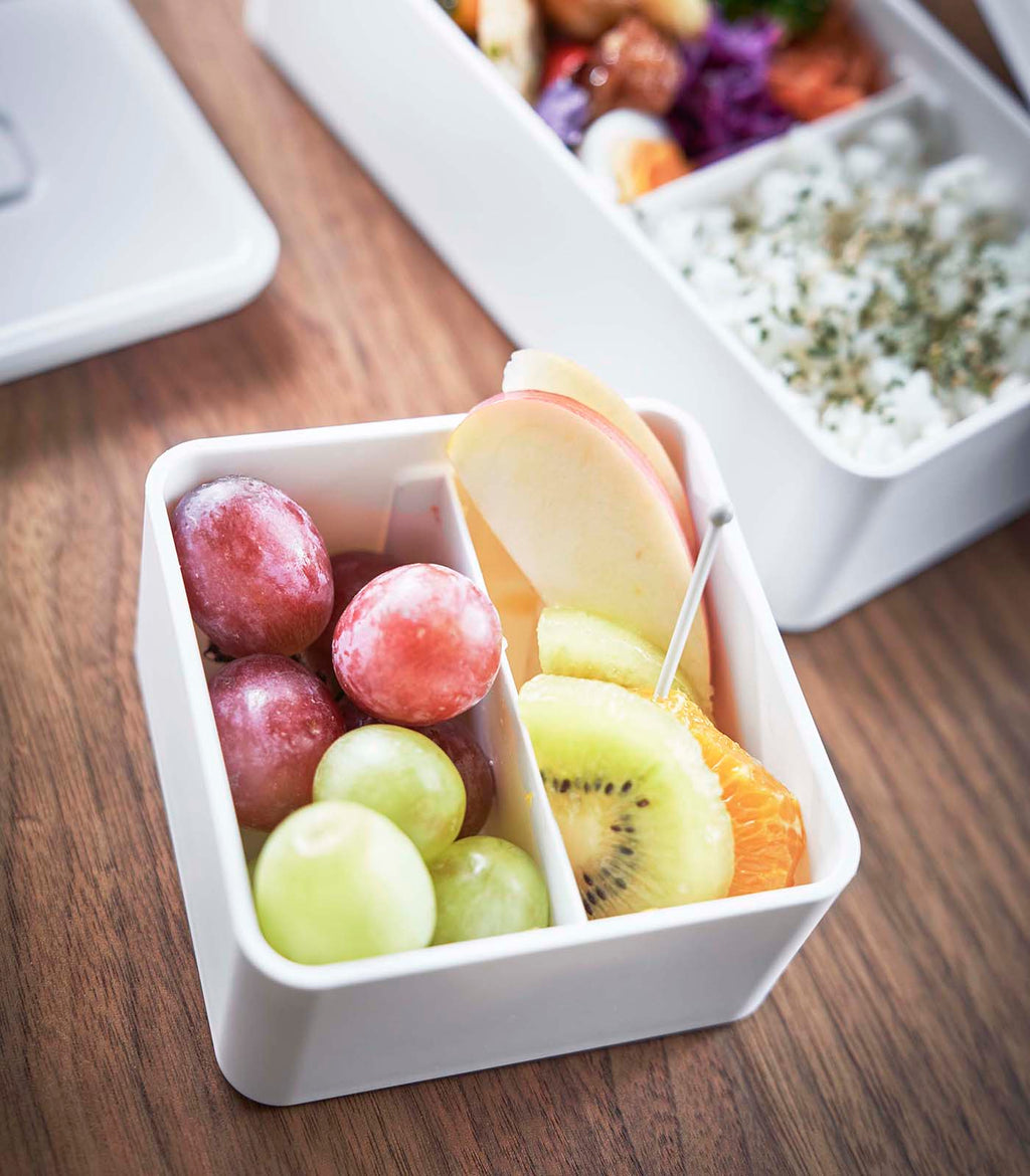 Airtight Bento Lunch Box with Silicone Seal
