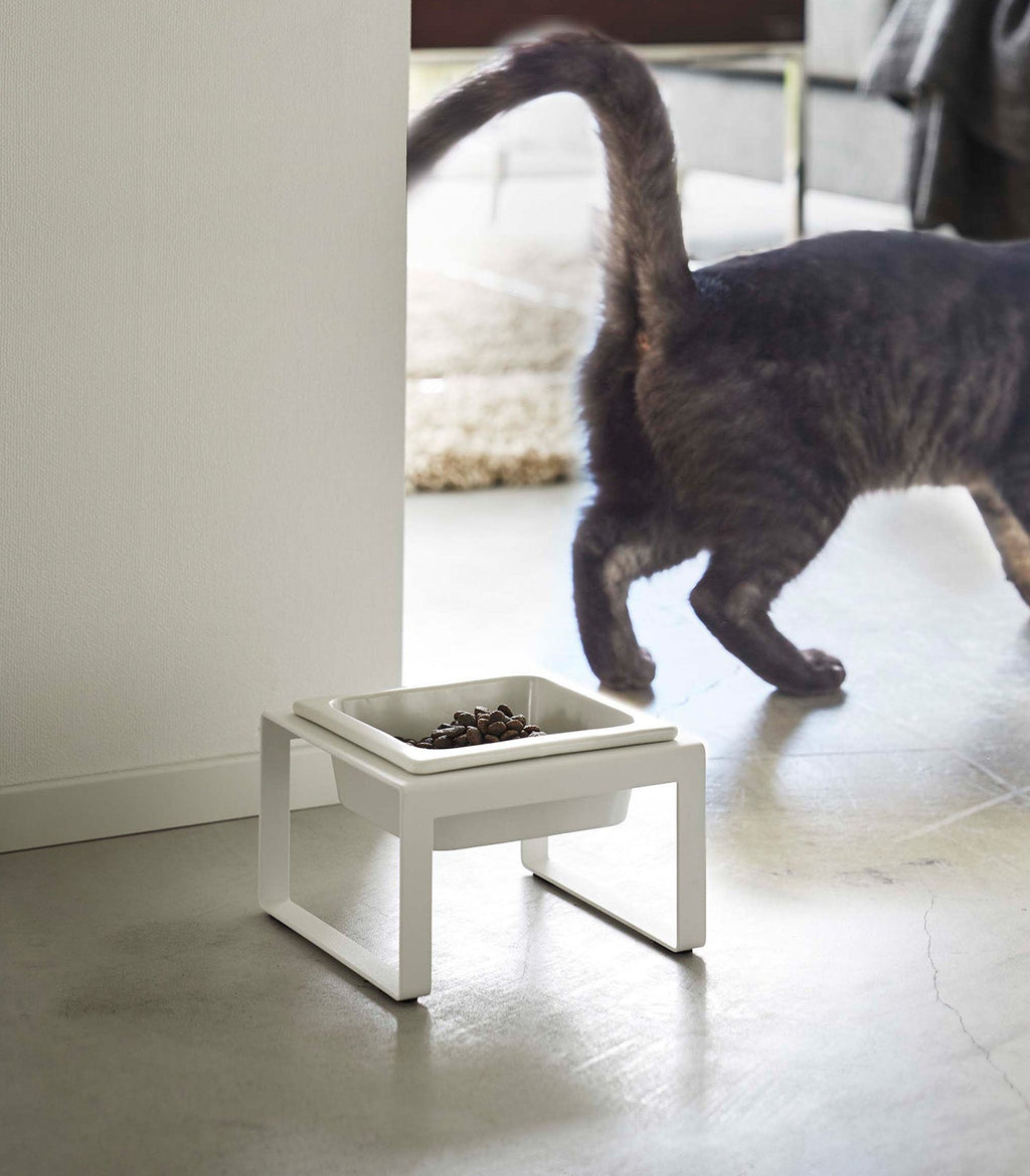 Single Pet Food Bowl - Tall - Steel + Ceramic