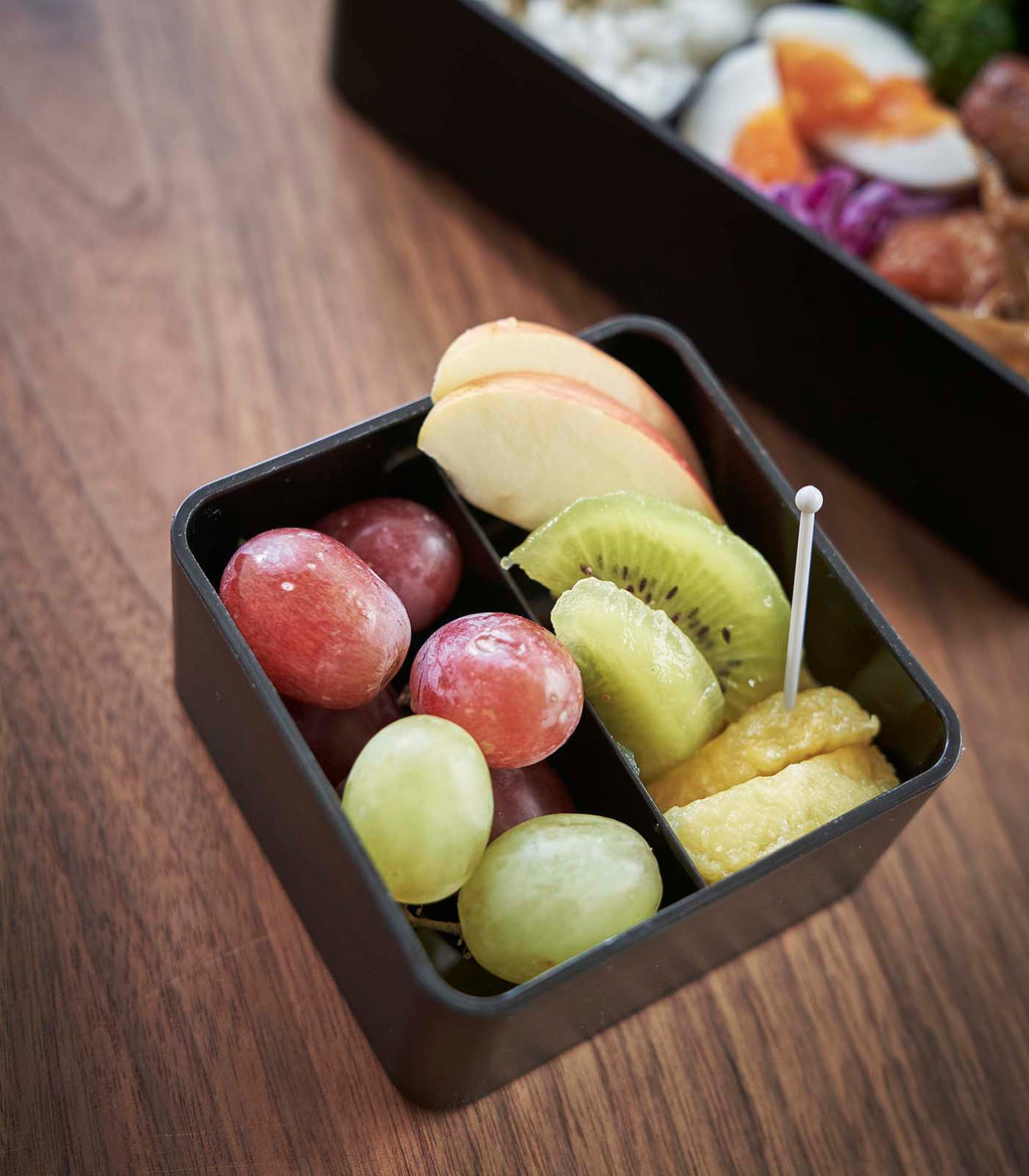Airtight Bento Lunch Box with Silicone Seal