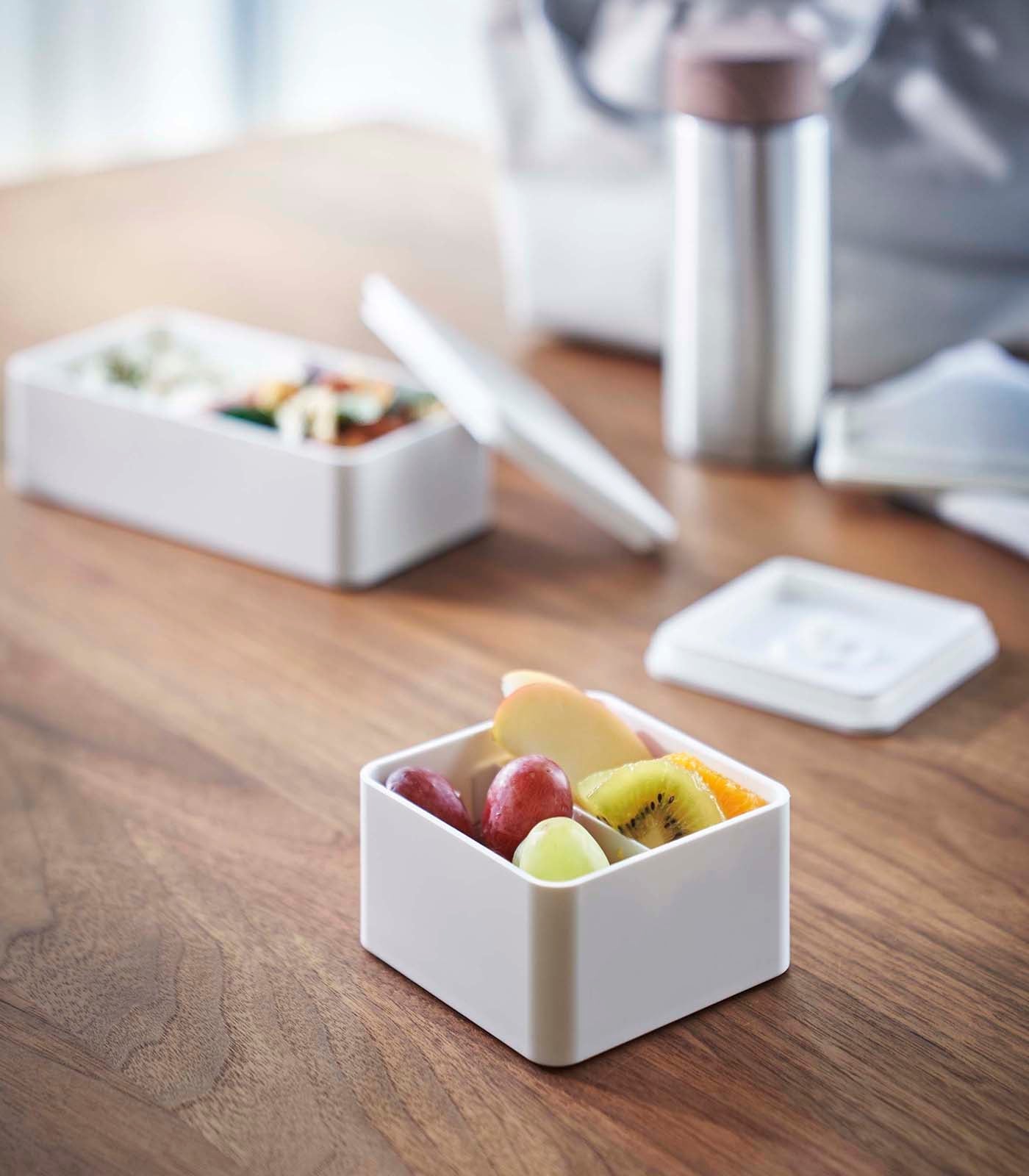 Airtight Bento Lunch Box with Silicone Seal