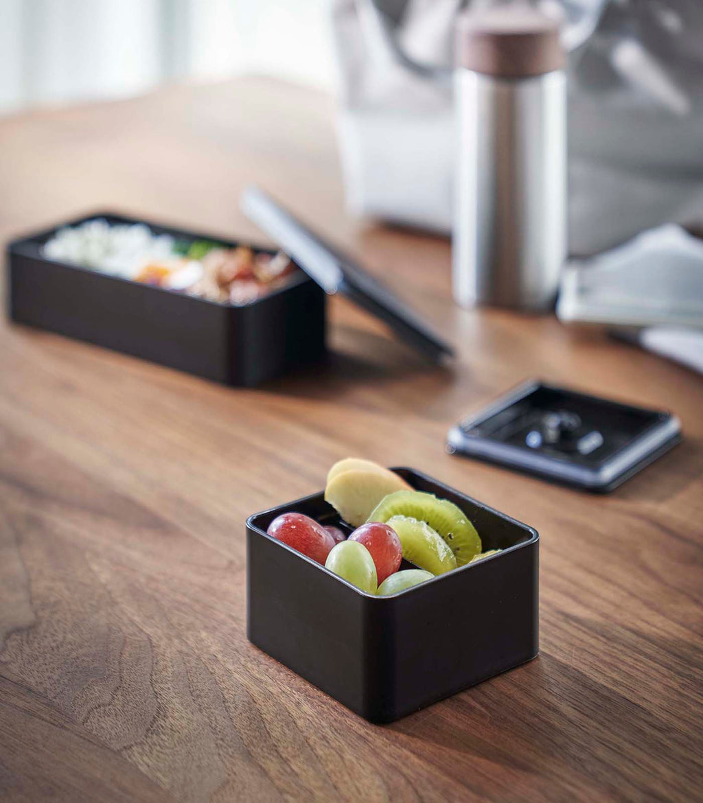 Airtight Bento Lunch Box with Silicone Seal
